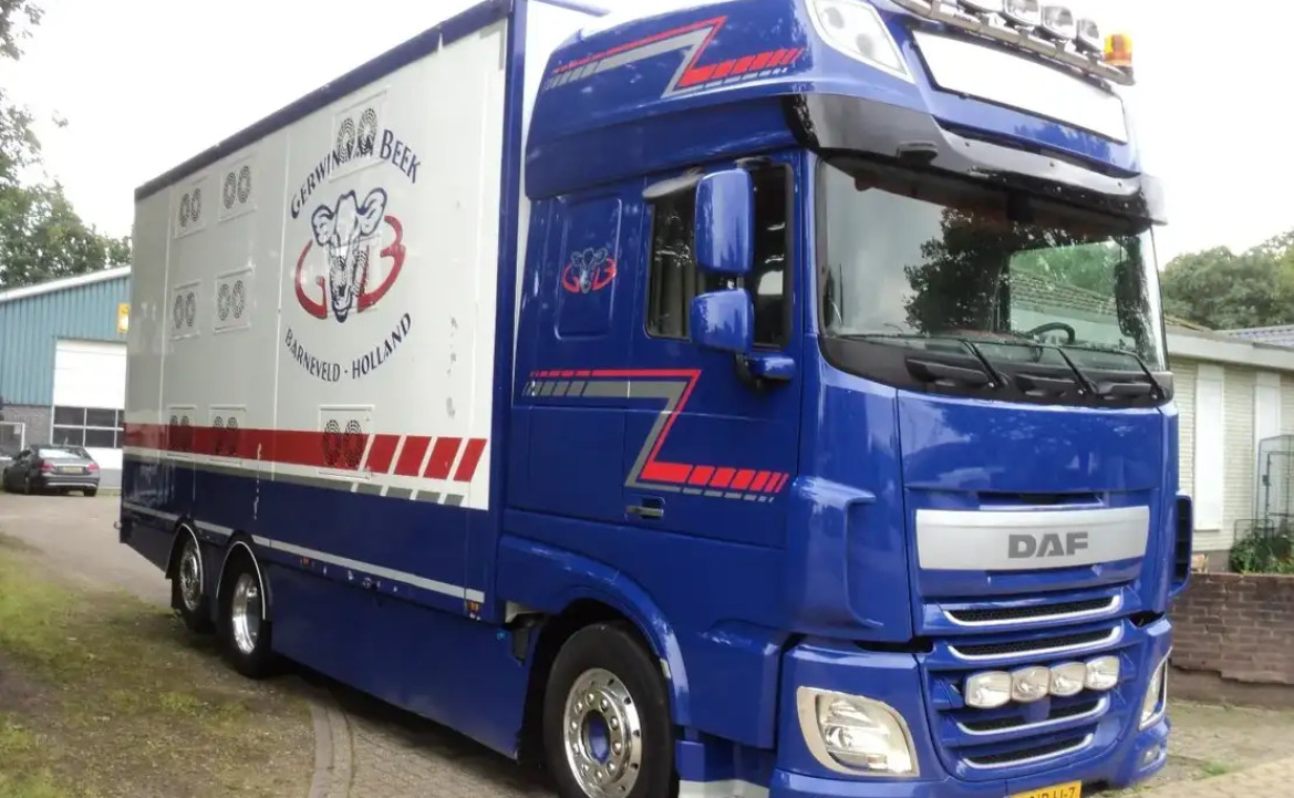 DAF XF 510 pk 3 lagen bak met hefdak VOOR Veevervoer